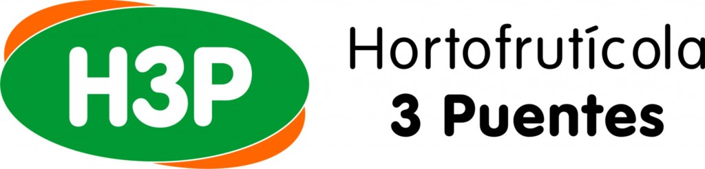 LOGO 3 PUENTES NUEVO 2017