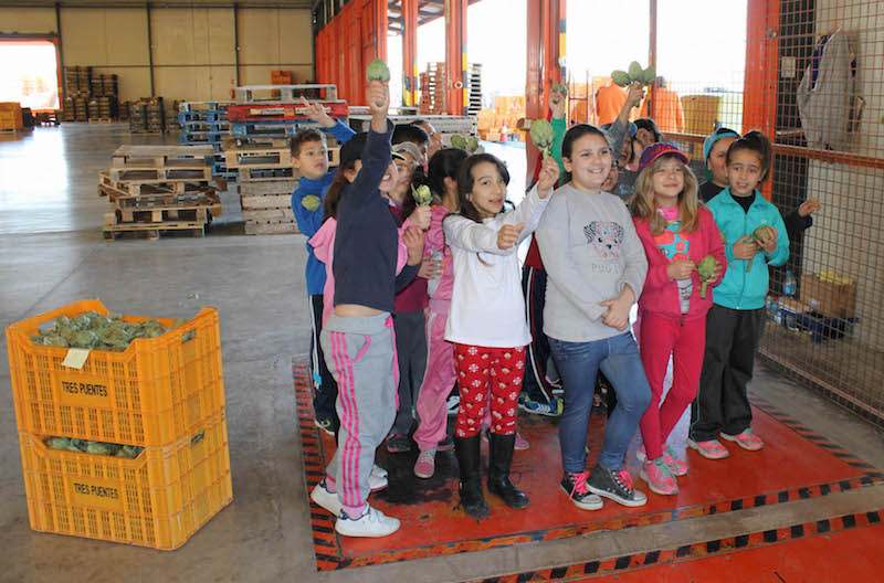 visita2 copia
