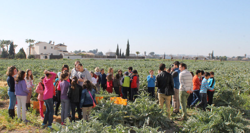 visita4 copia